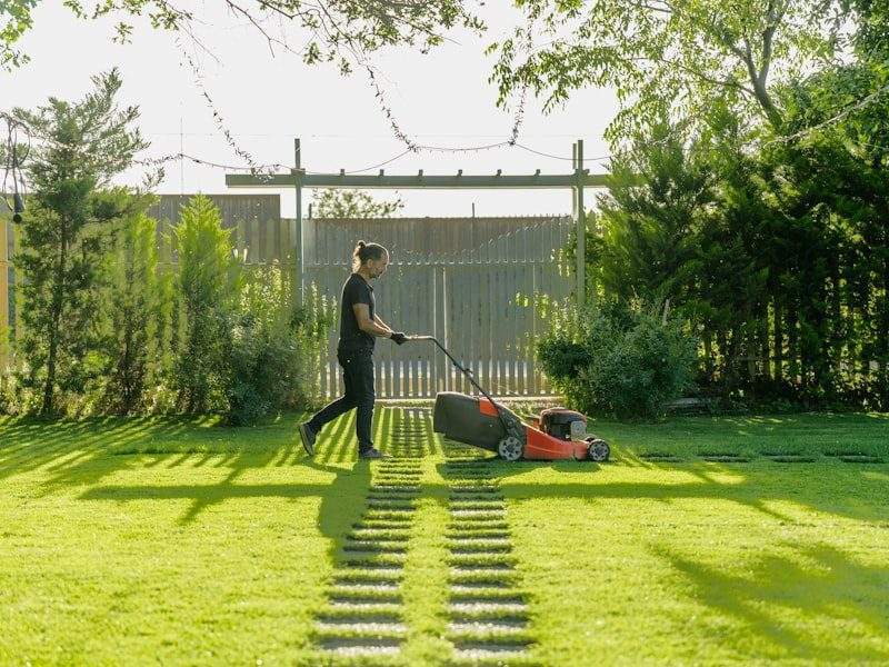 Clean yard after removal in Marysville, WA