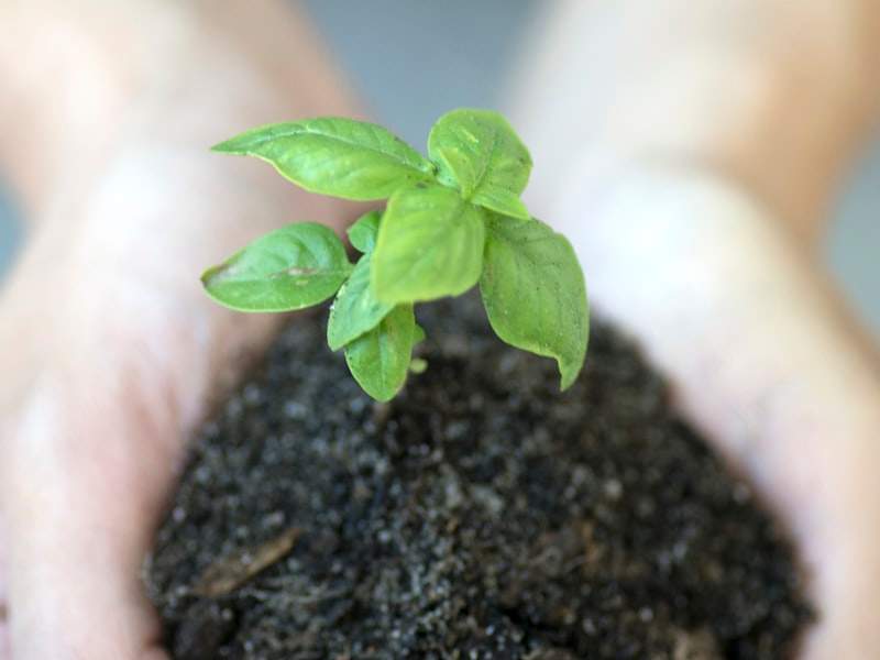 Understanding Hoarding Cleanup in Marysville